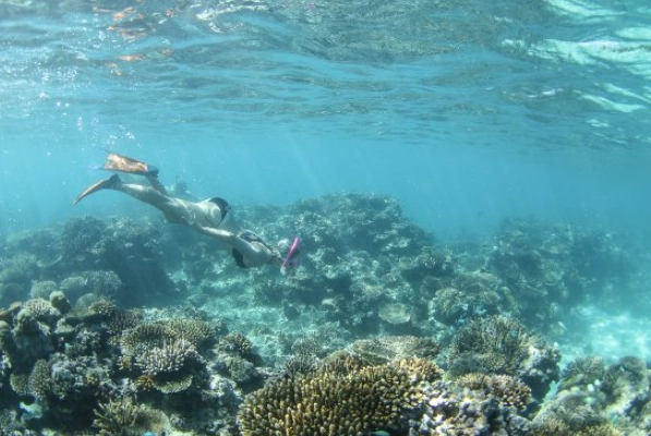 Fiji Nadi snorkeling spots