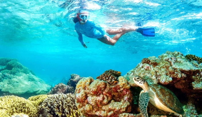 Egypt snorkeling spots