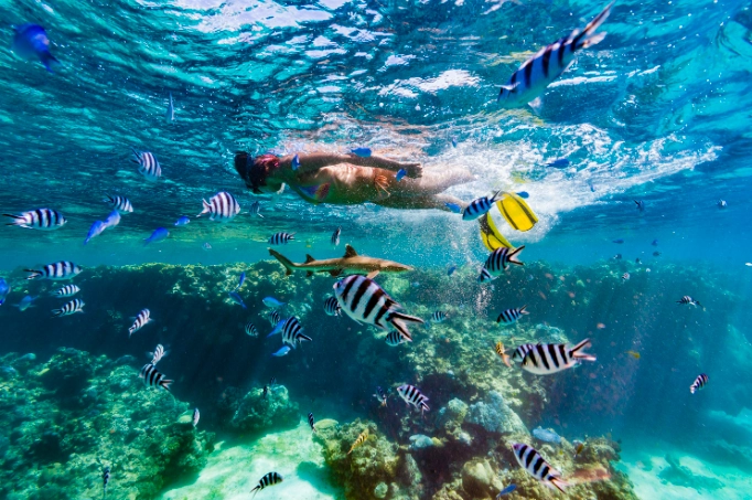 Fiji Nadi coral reefs