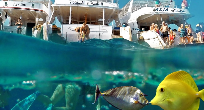 snorkeling tours Hurghada