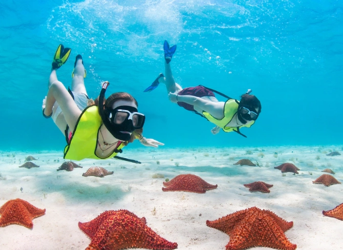 roatan snorkeling spots