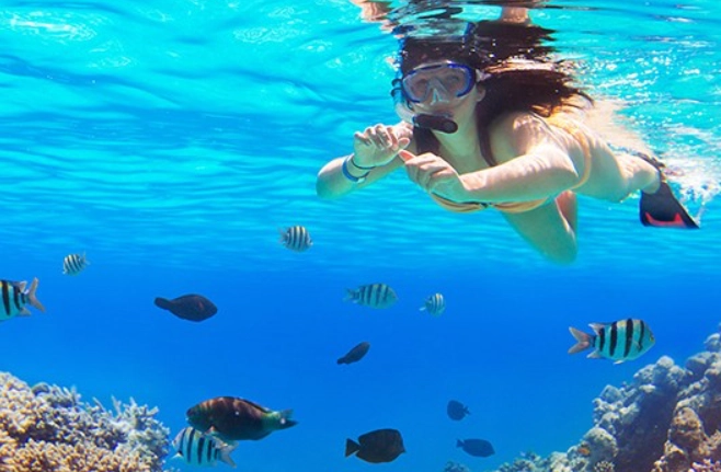 snorkeling tours Hurghada