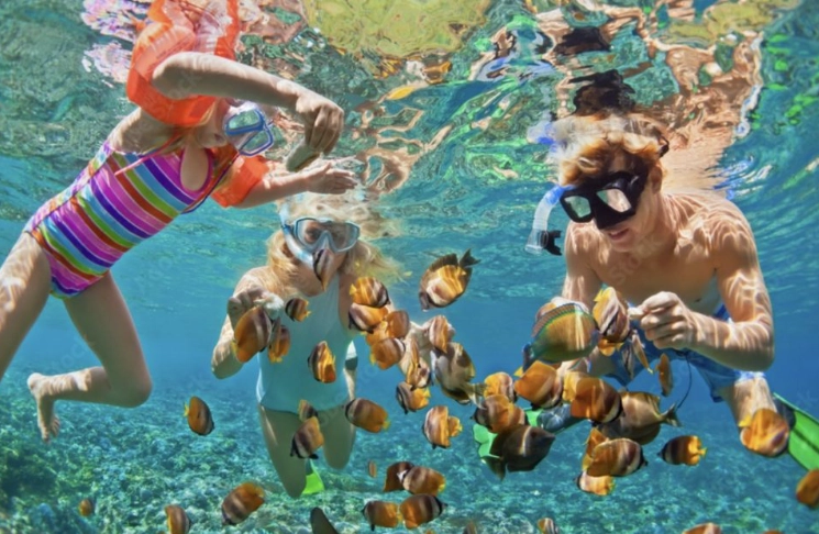 best snorkeling roatan