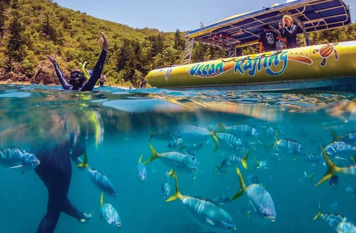 snorkeling near Phoenix