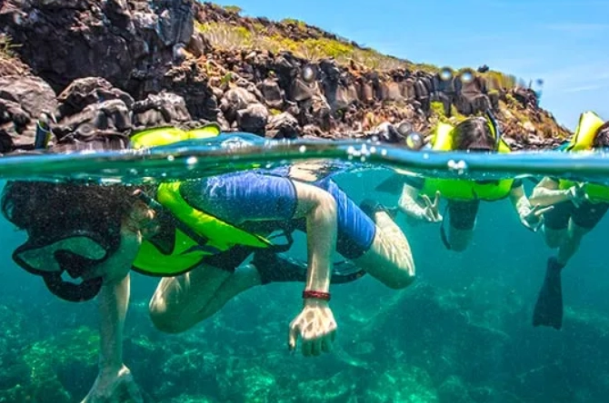 galapagos snorkeling free