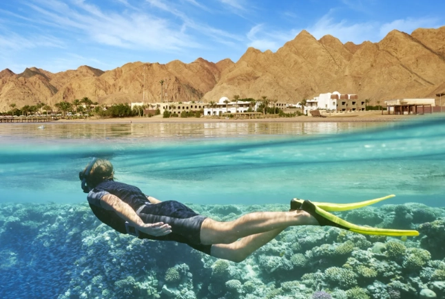 Red Sea night snorkeling