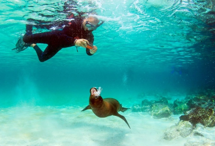 free snorkeling galapagos