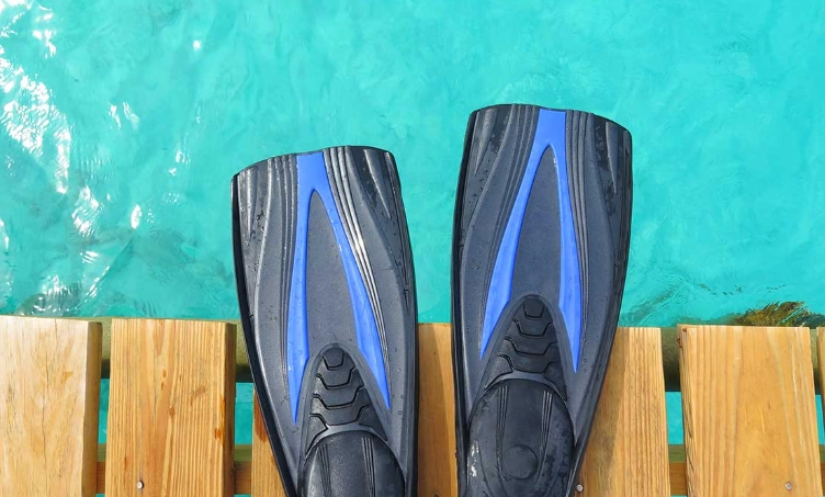 best snorkeling fins