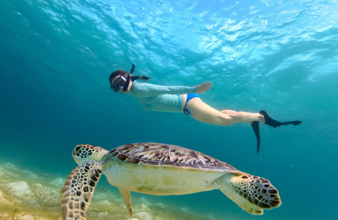 snorkeling day trips near Arizona