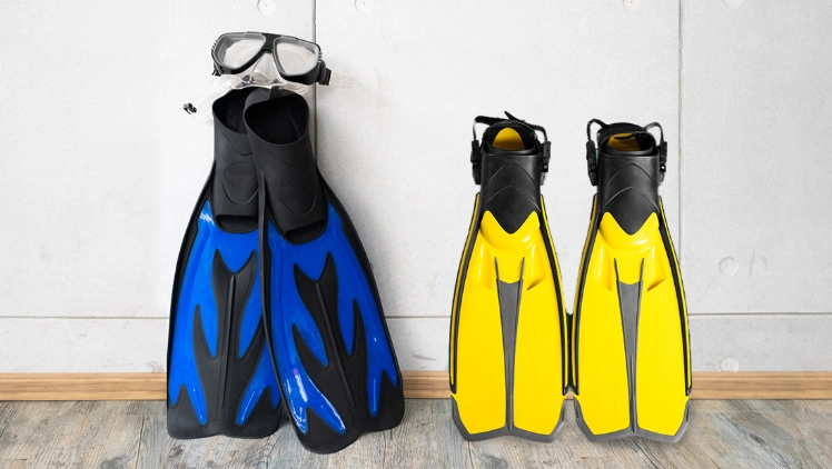 best snorkeling fins