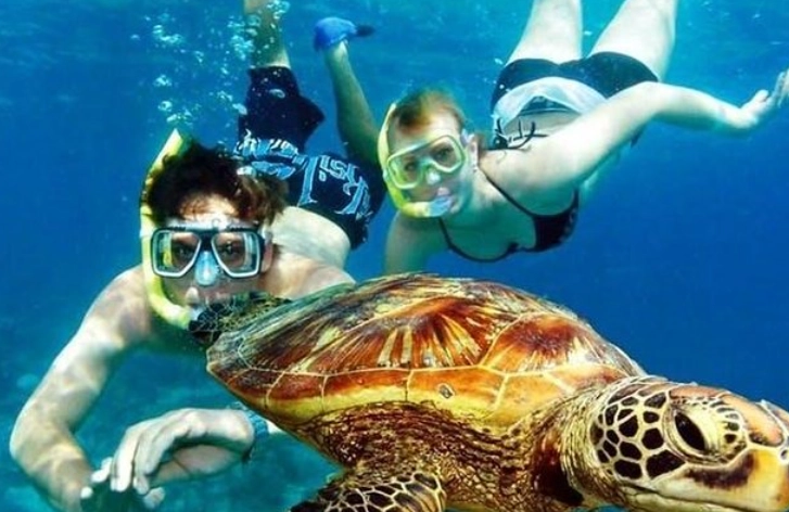 snorkeling tours worth it