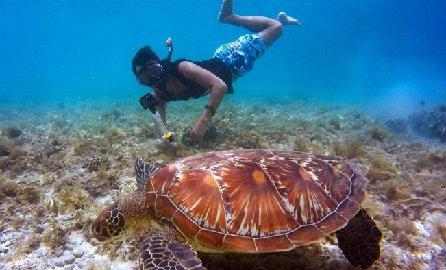 where to snorkel for free galapagos