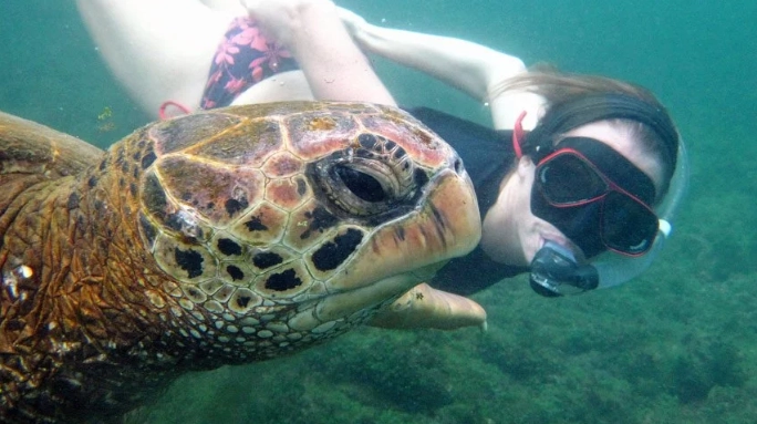 galapagos snorkeling free
