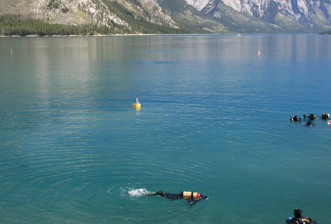 swim in national parks swim in national parks