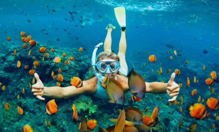 are snorkel tours worth it