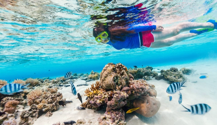 Guanacaste snorkeling spots