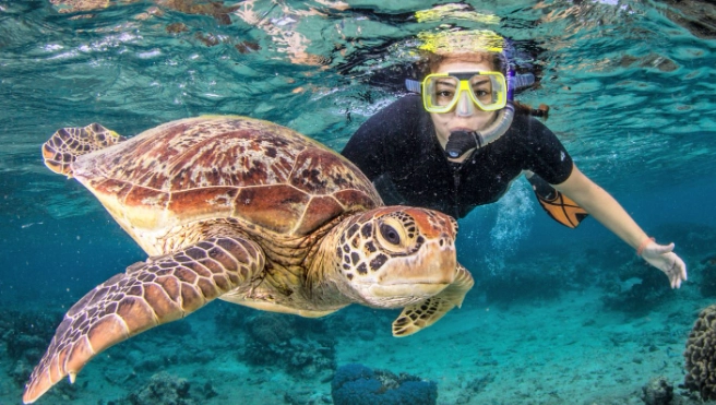 snorkeling day trips near Arizona
