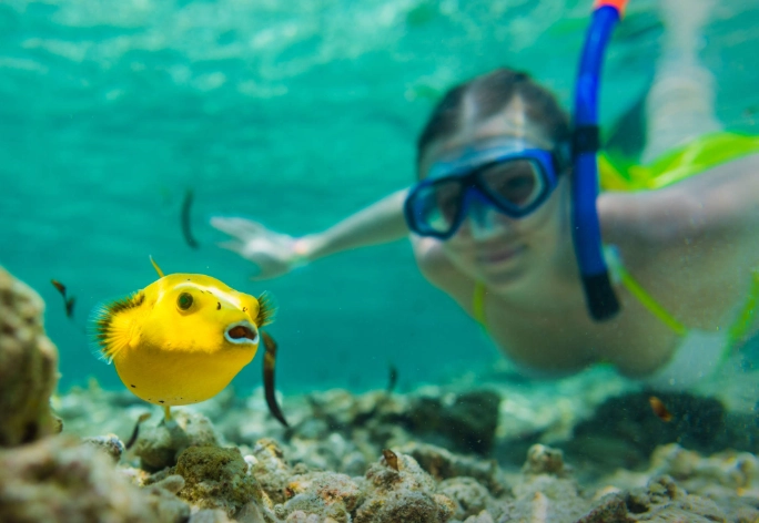 best snorkeling tours Seychelles