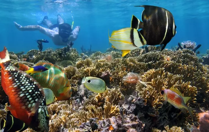 snorkeling Costa Rica