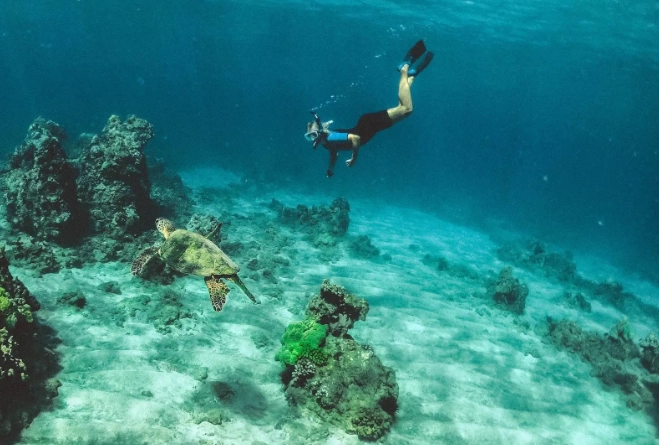 snorkeling Costa Rica