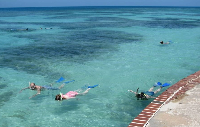 snorkeling Dry Tortugas