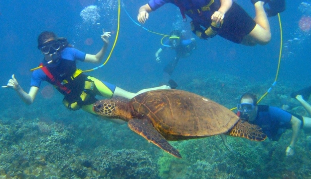 best snorkeling spots Costa Rica
