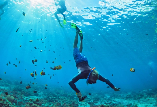 Bahamas snorkeling season