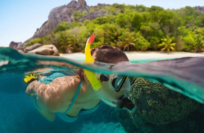 best snorkeling tours Seychelles