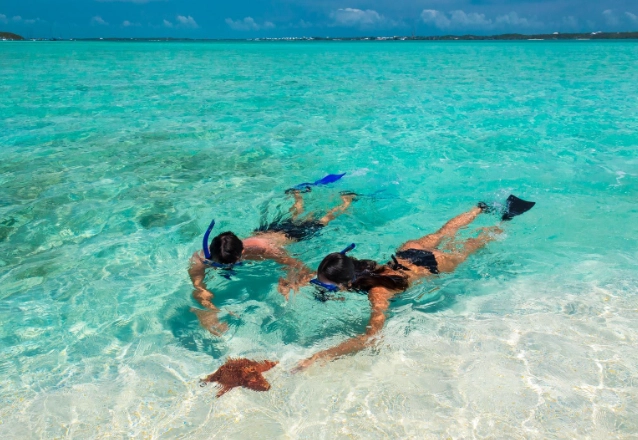 Bahamas snorkeling season
