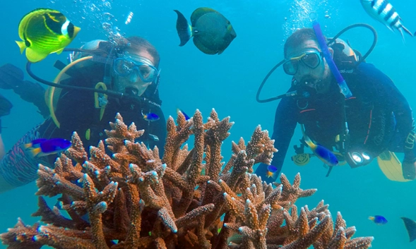 Seychelles snorkeling cost