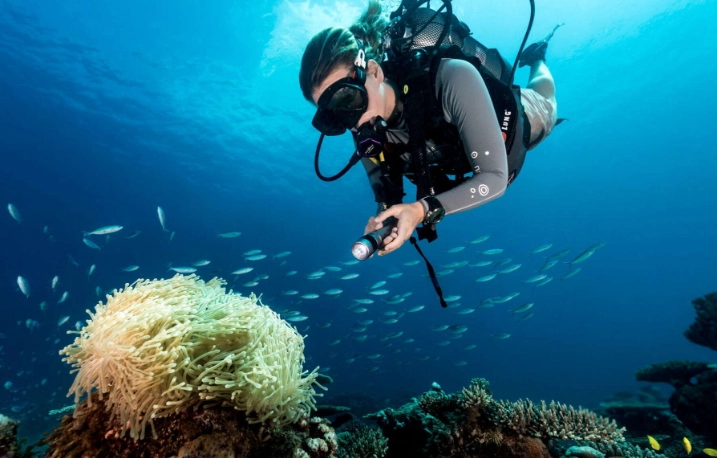 Seychelles snorkeling cost