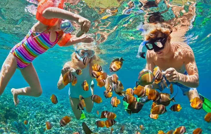 is snorkeling safe in Turks and Caicos is snorkeling safe in Turks and Caicos