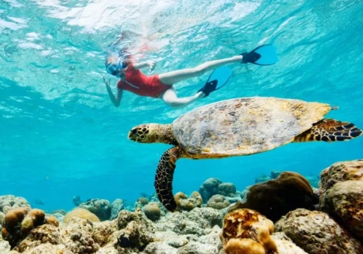 snorkeling Turks and Caicos safety snorkeling Turks and Caicos safety