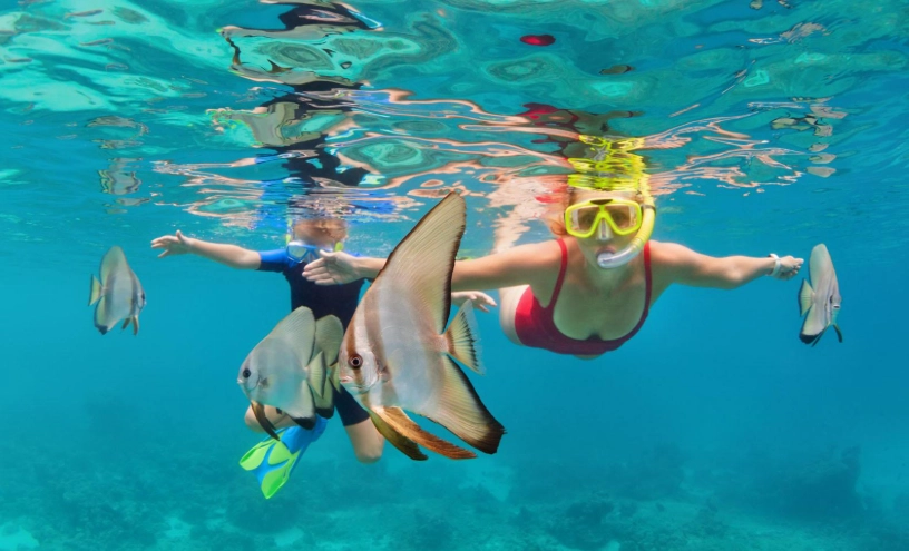 Roatan shore snorkeling spots Roatan shore snorkeling spots