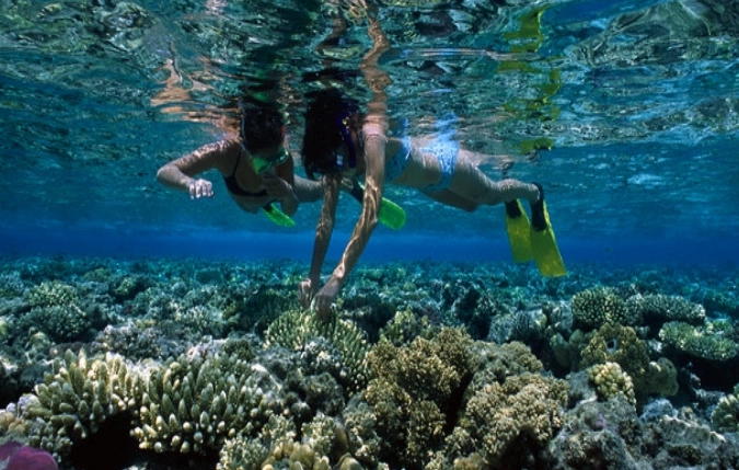 best snorkeling spots red sea egypt best snorkeling spots red sea egypt