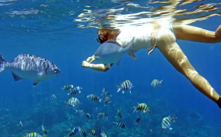 Roatan shore snorkeling spots Roatan shore snorkeling spots