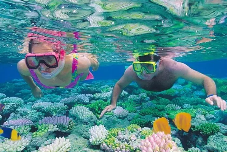 best snorkeling spots red sea egypt best snorkeling spots red sea egypt