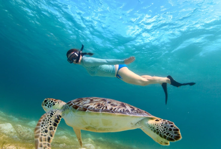 Best snorkeling tours