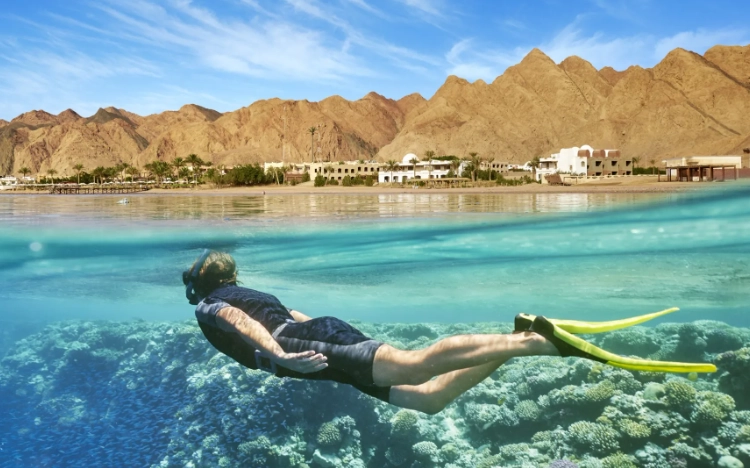 snorkeling hurghada sharm el sheikh snorkeling hurghada sharm el sheikh