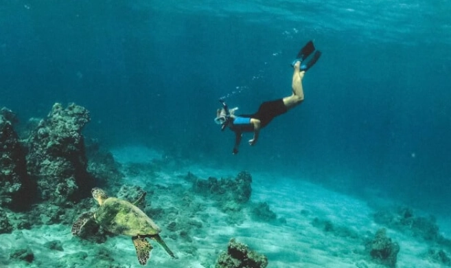 best time to snorkel in Costa Rica