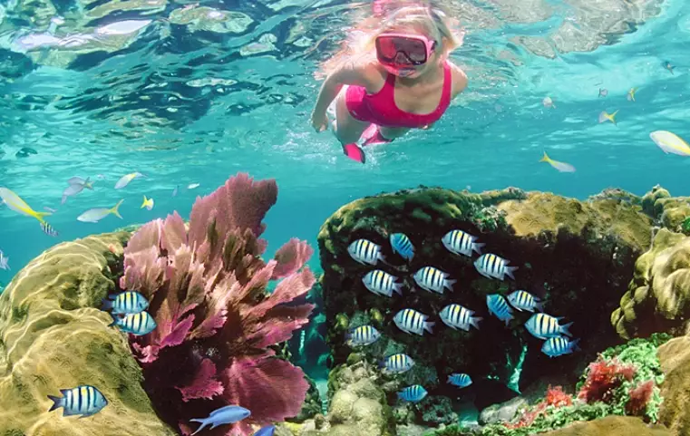 Family snorkeling trips