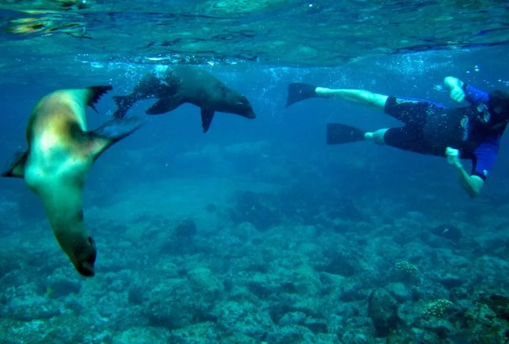 best snorkeling galapagos