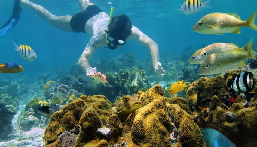 Roatan shore snorkeling spots Roatan shore snorkeling spots