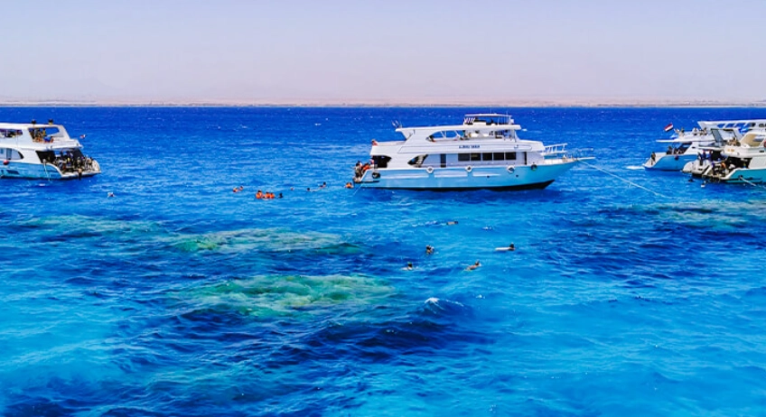 egypt red sea snorkeling tours egypt red sea snorkeling tours