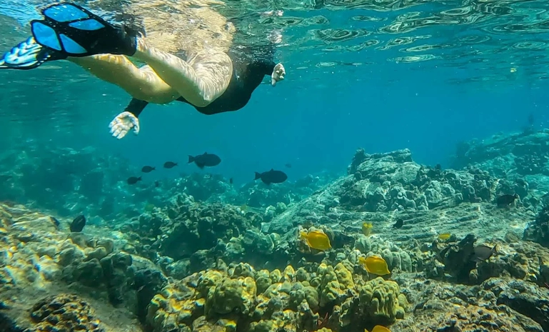 snorkeling tours for beginners
