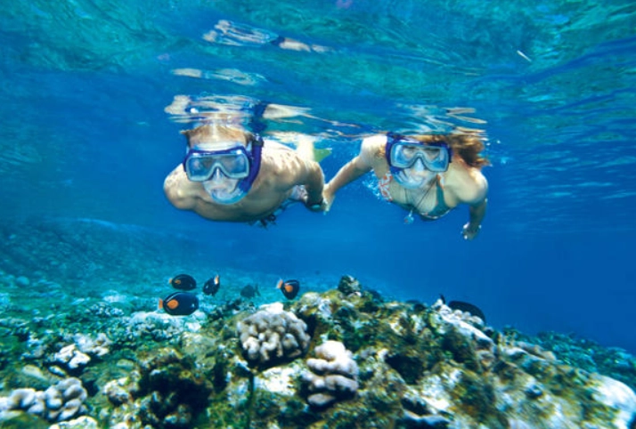 best snorkeling tours