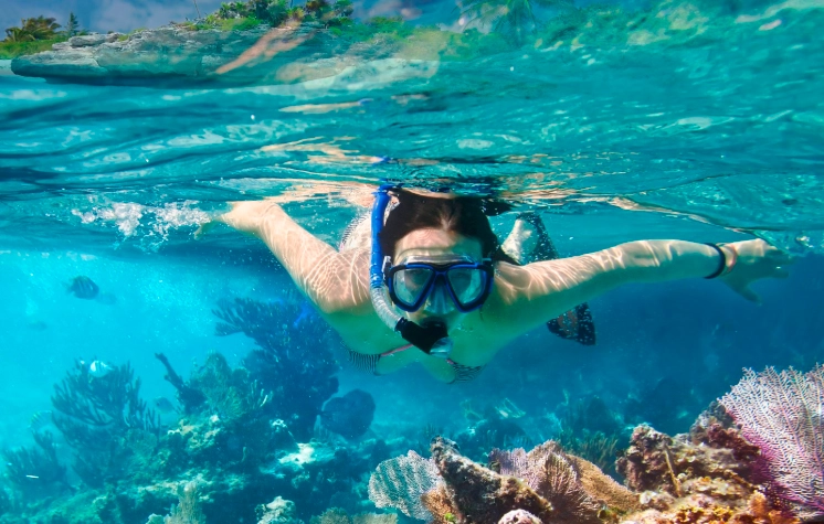 snorkeling tours near me