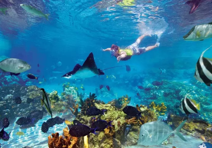 snorkeling Costa Rica dry season