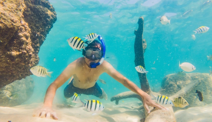 best time to snorkel in Costa Rica