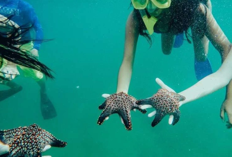 Costa Rica snorkeling season